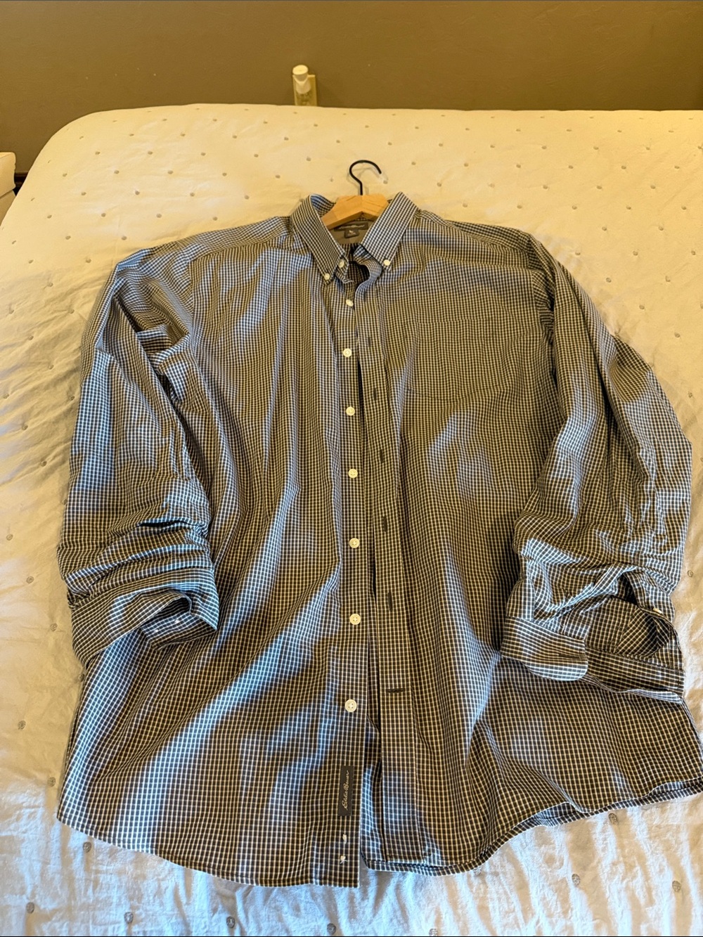 Eddie Bauer Blue and White Micro-Check Button-Down Shirt